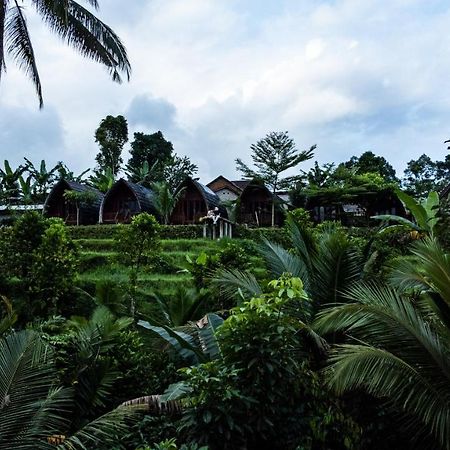 ホテル Omah Bapak Ijen Eco House Licin エクステリア 写真