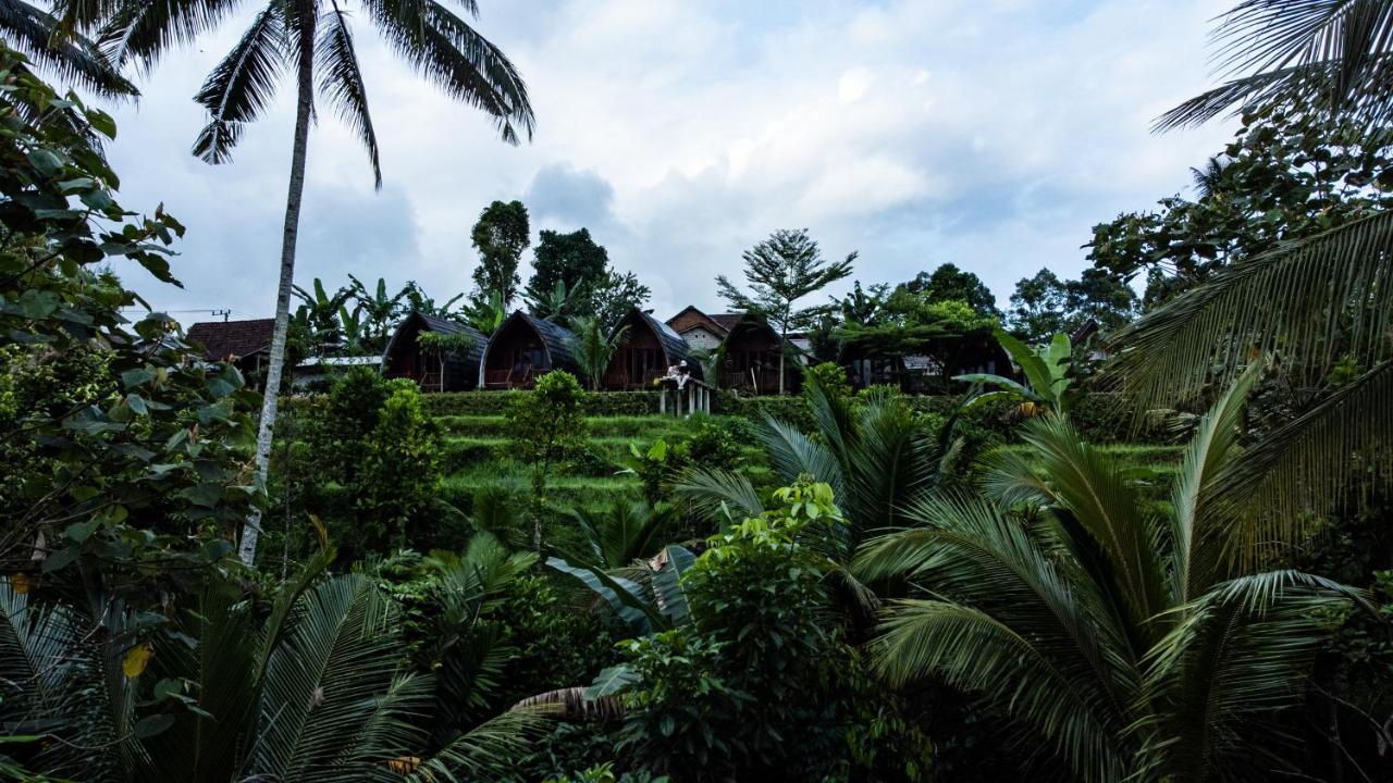 ホテル Omah Bapak Ijen Eco House Licin エクステリア 写真